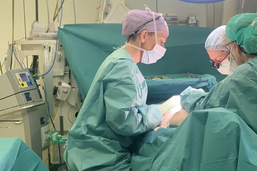 Elles, OK, Erasmus MC